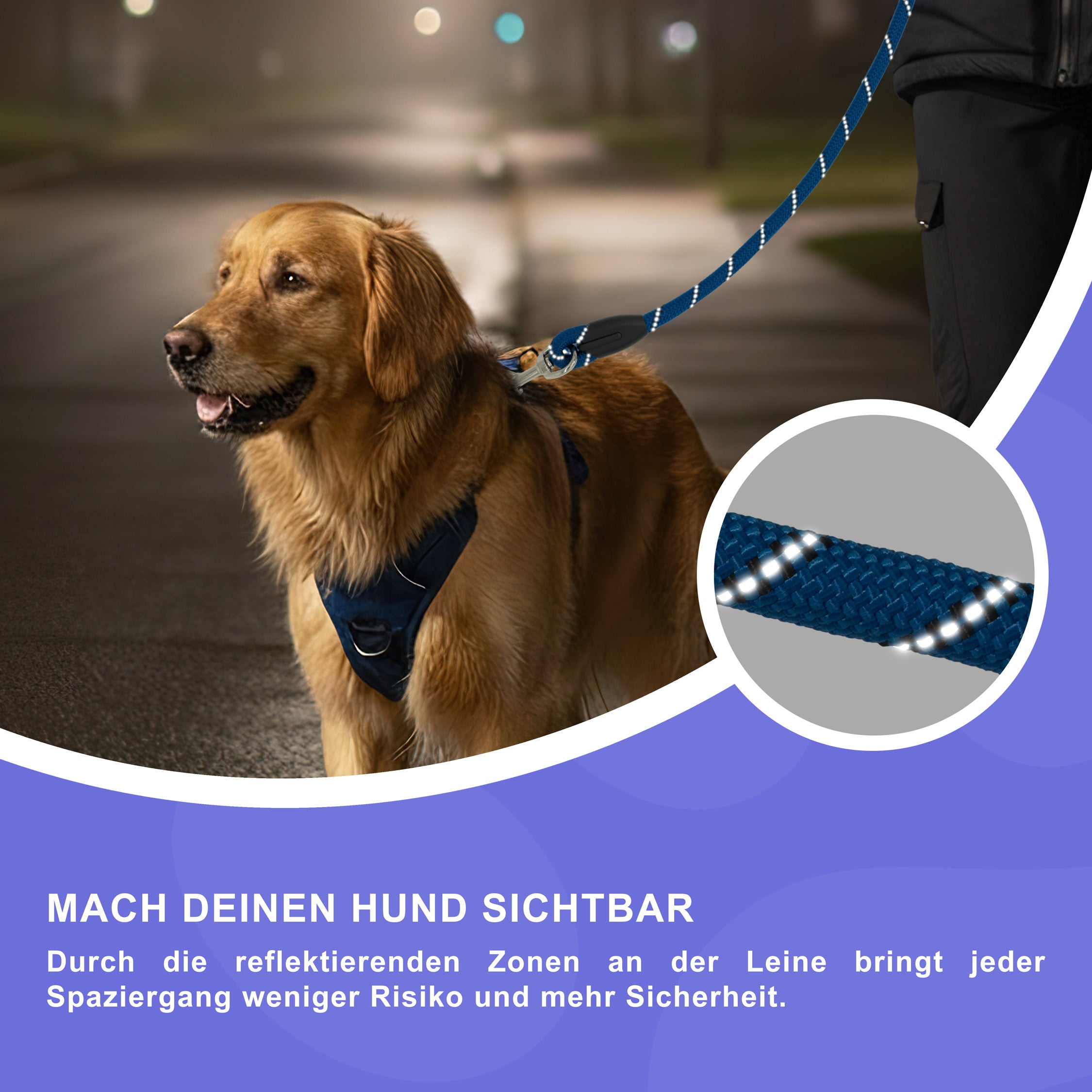 RS Pets Hundeleine Nylon 25RSP084 - Blue