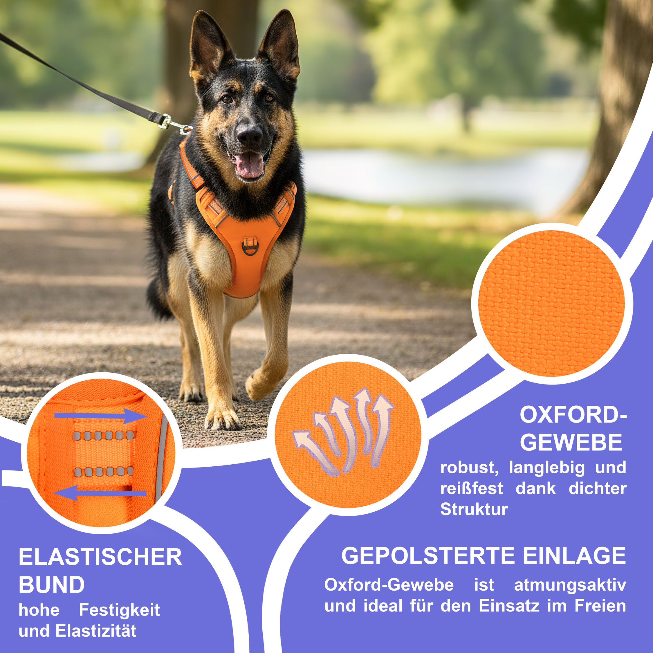RS Pets Hundegeschirr & Leinen Set 25RSP083-4 - Orange