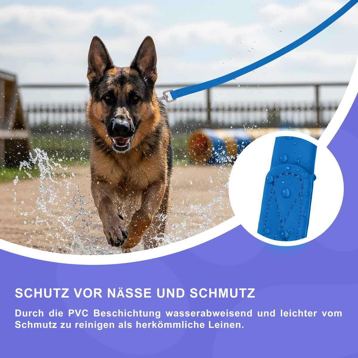 RS Pets Hundeleine PVC 25RSP086 - Blue