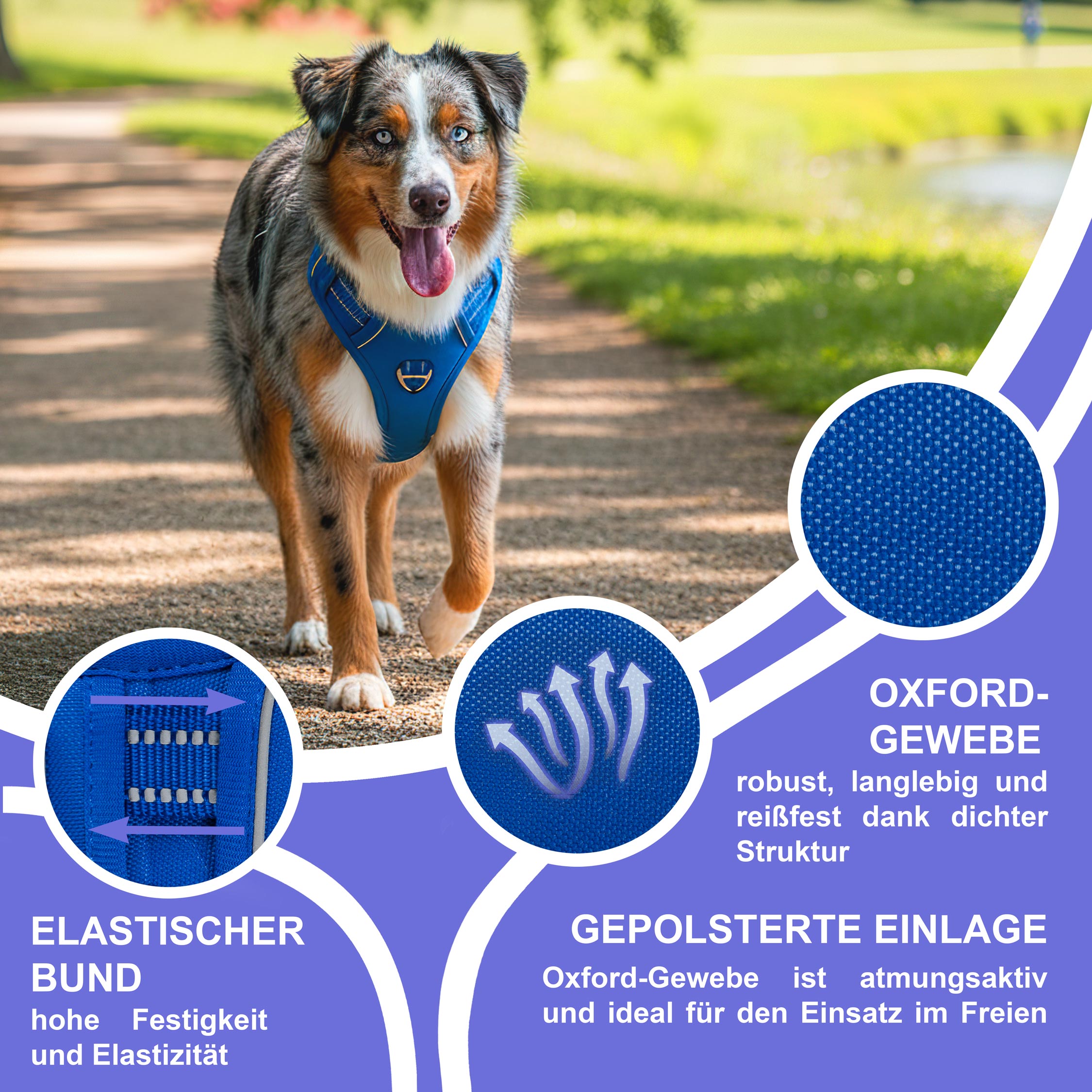 RS Pets Hundegeschirr & Leinen Set 25RSP083-4 - Blue