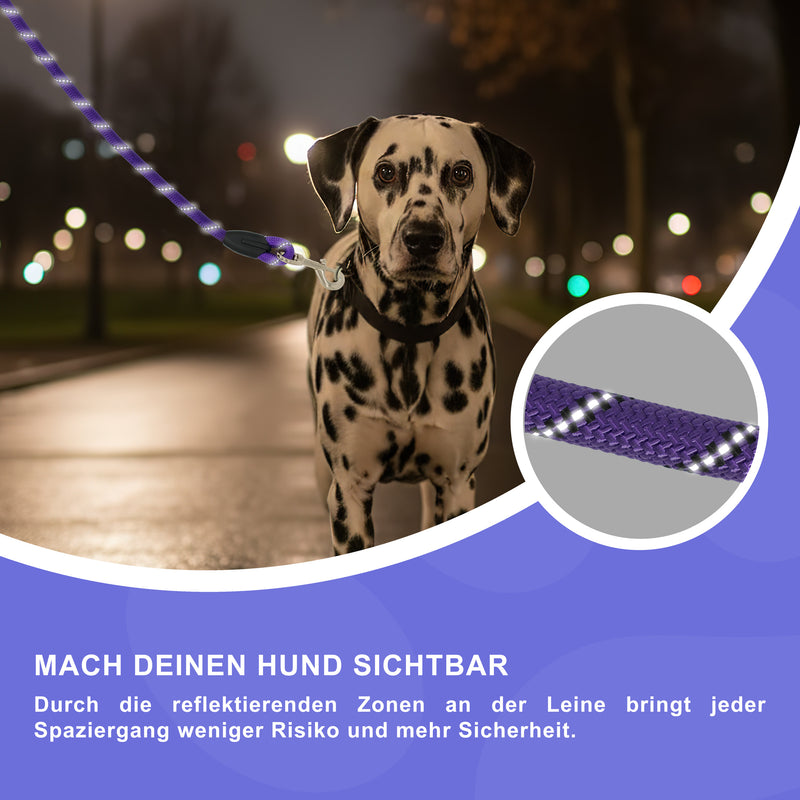RS Pets Hundeleine Nylon 25RSP084 - Purple