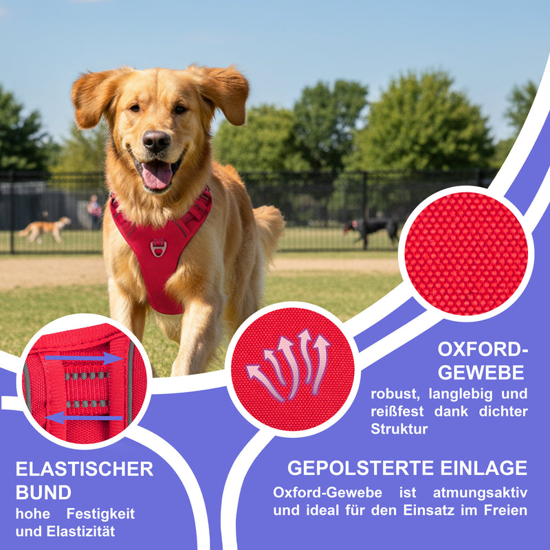 RS Pets Hundegeschirr & Leinen Set 25RSP083-4 - Red