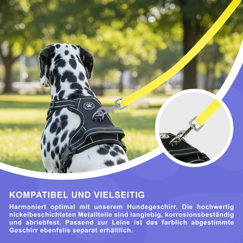 Hundeleinen Texturierte PVC 25RSP085 - Yellow