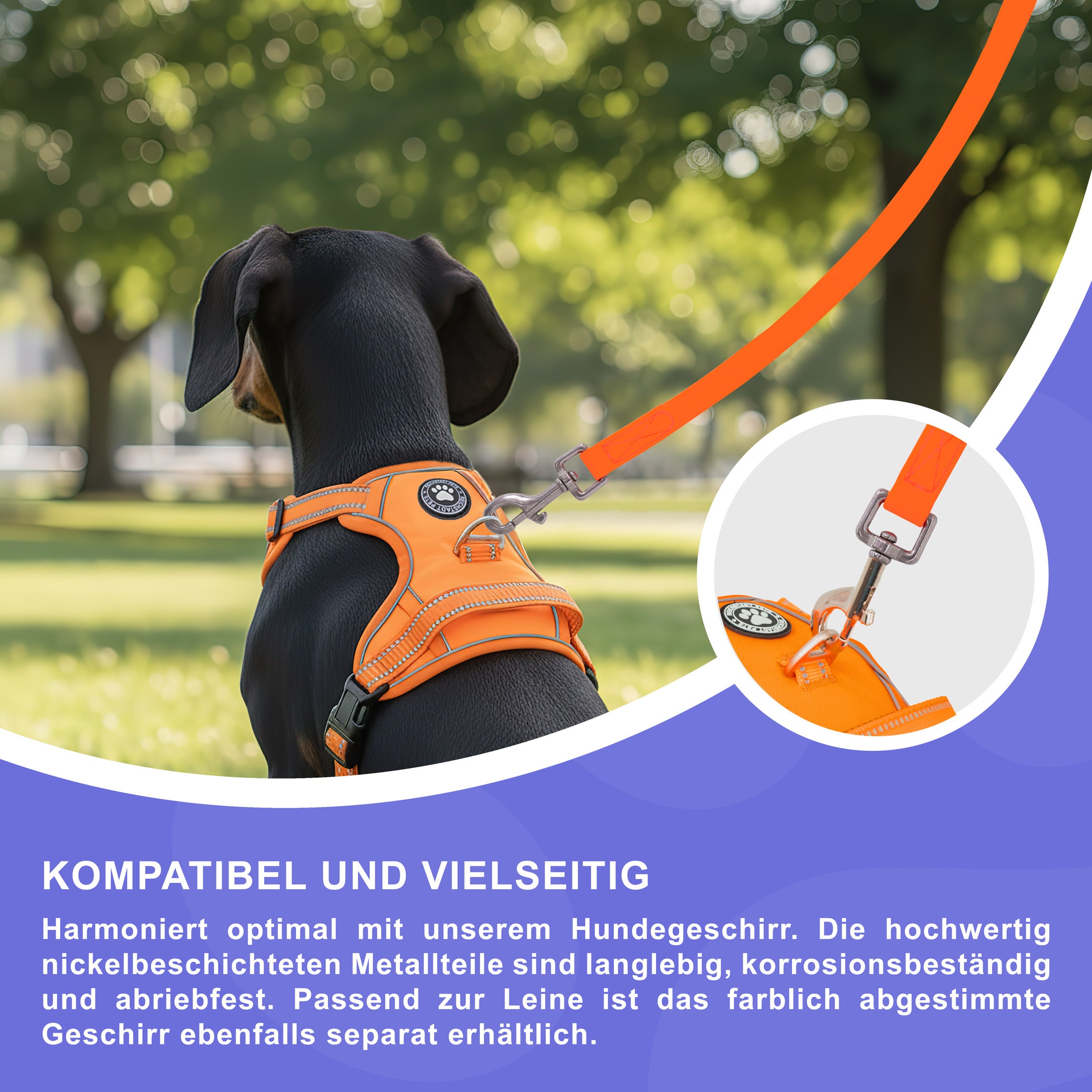RS Pets Hundeleine PVC 25RSP086 - Orange