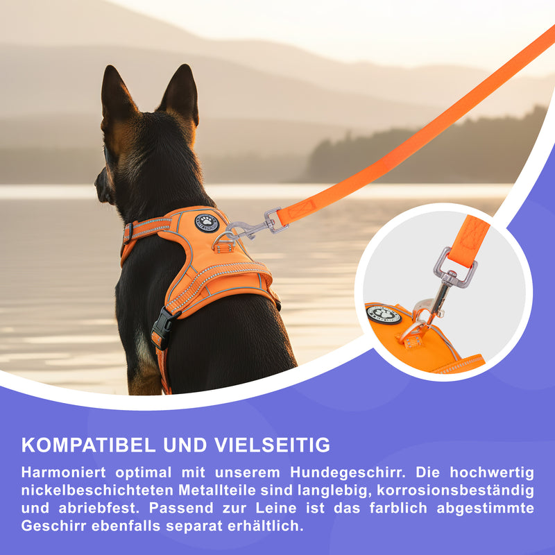 RS Pets Hundeleine Texturierte PVC 25RSP085 - Orange