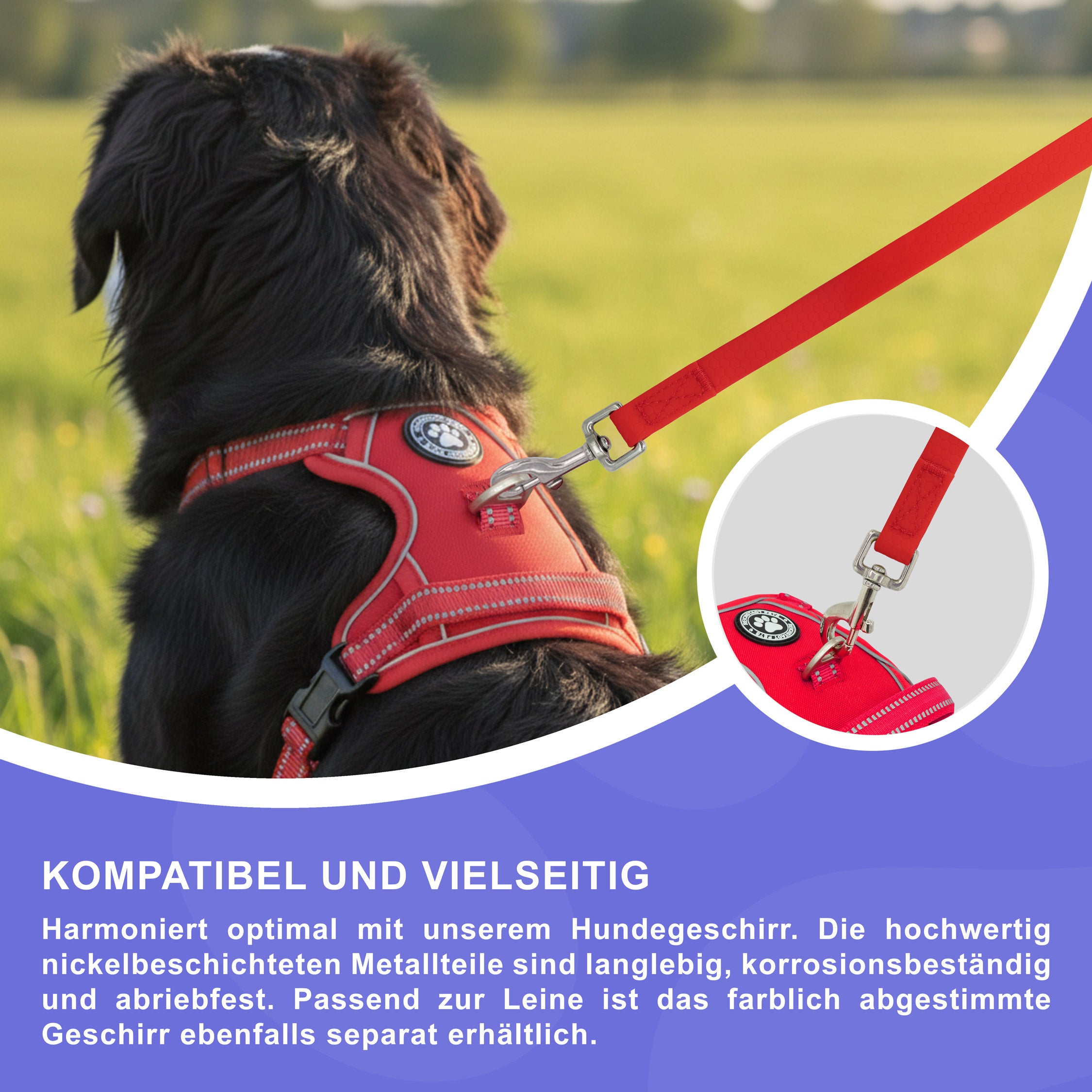 RS Pets Hundeleine Texturierte PVC 25RSP085 - Red