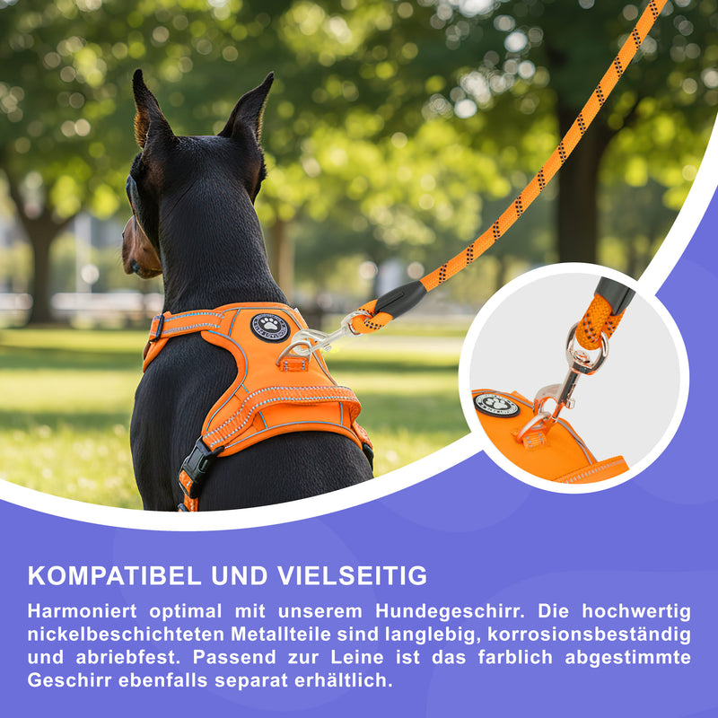 RS Pets Hundeleine Nylon 25RSP084 - Orange