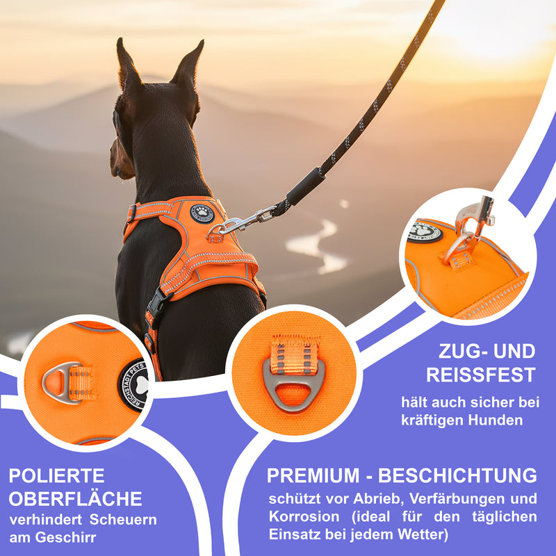 RS Pets Hundegeschirr 25RSP083 - Orange