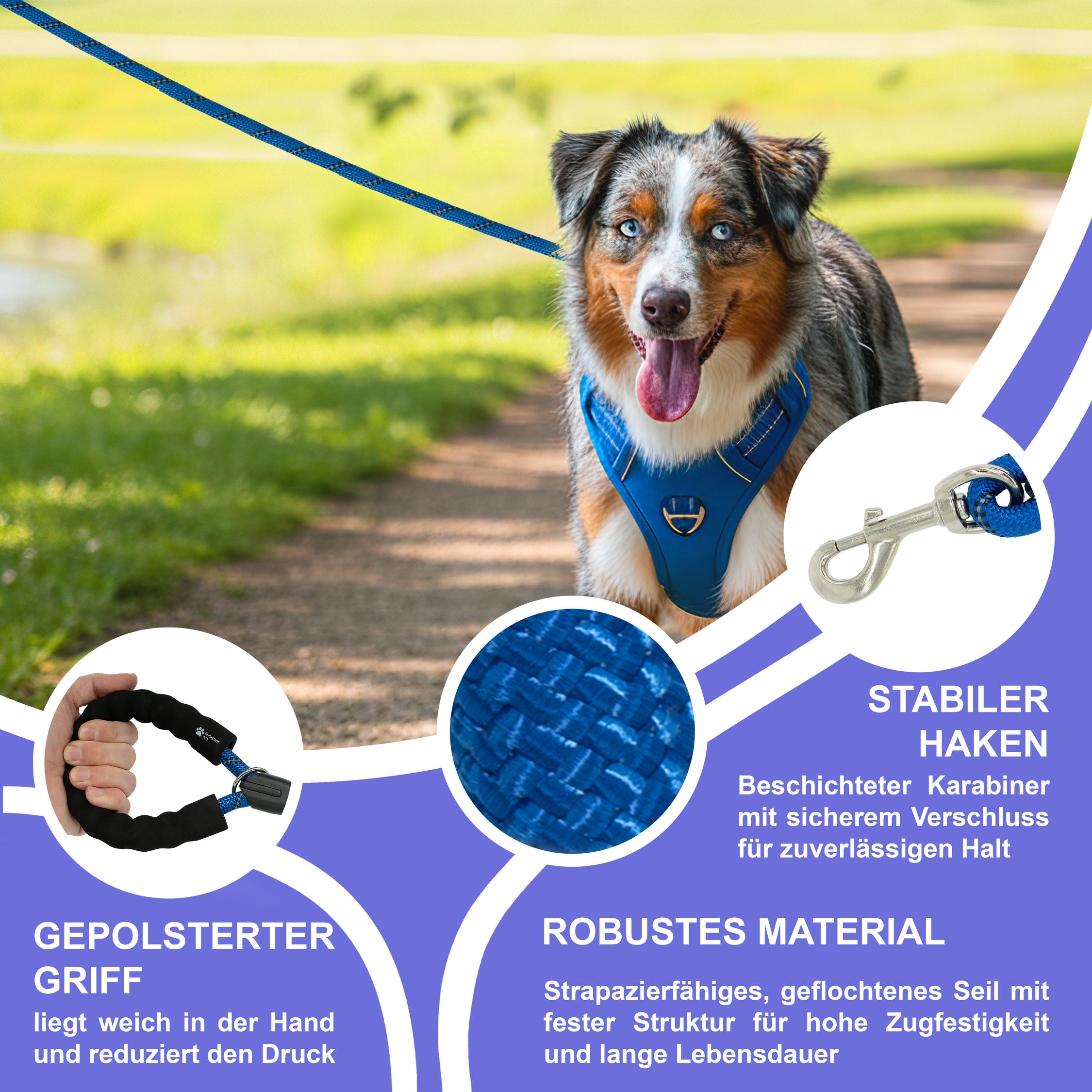 RS Pets Hundegeschirr & Leinen Set 25RSP083-4 - Blue