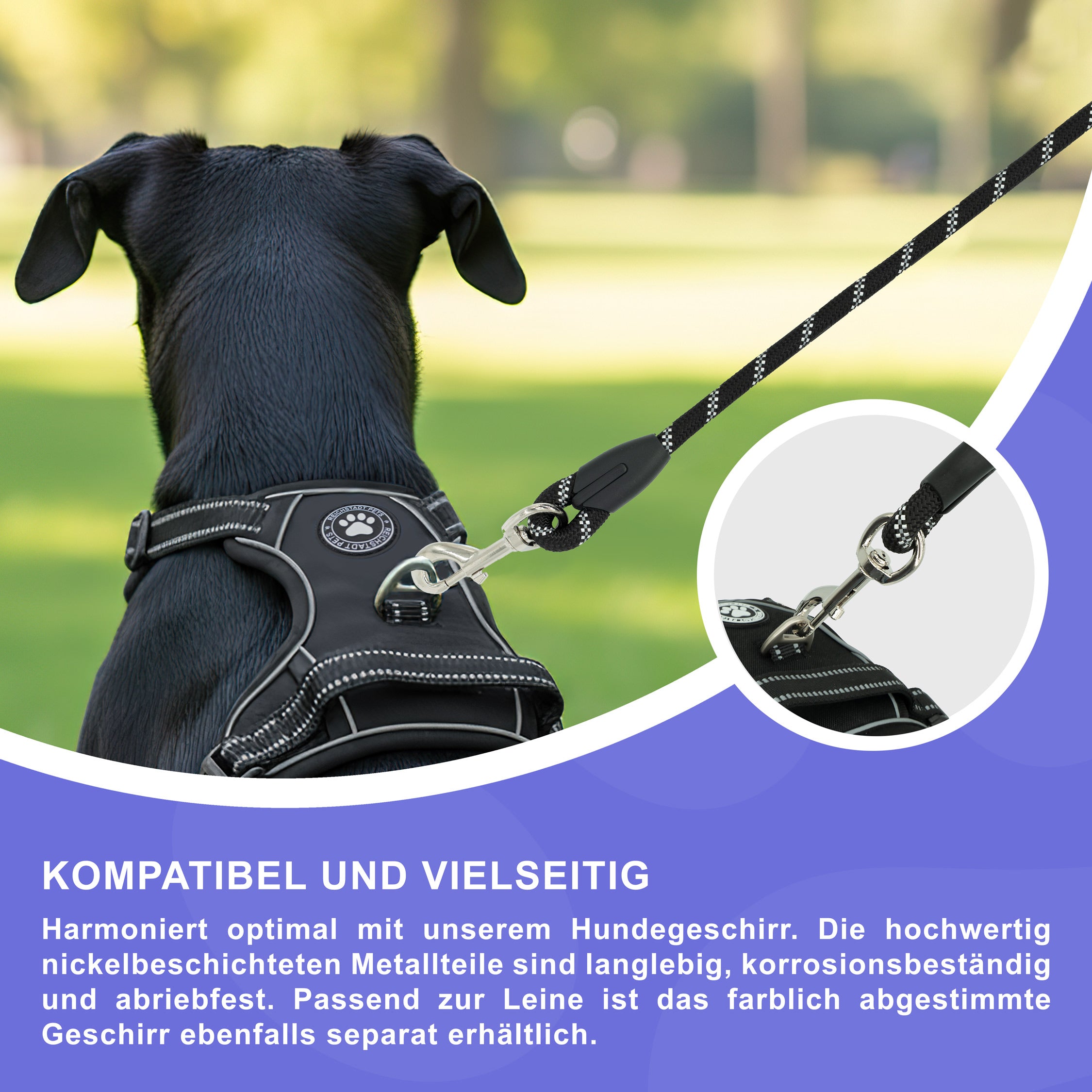 RS Pets Hundeleine Nylon 25RSP084 - Black