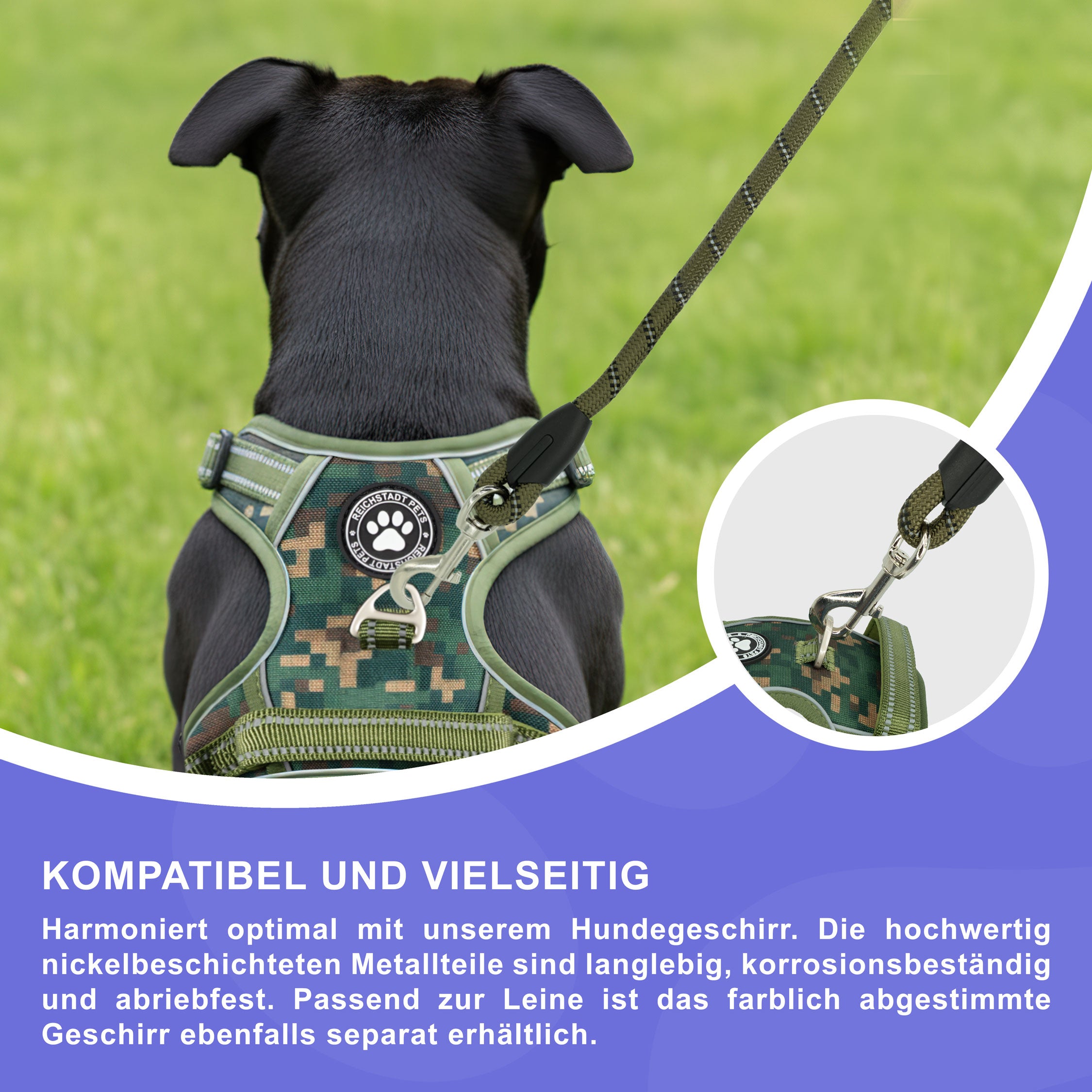 RS Pets Hundeleine Nylon 25RSP084 - Green