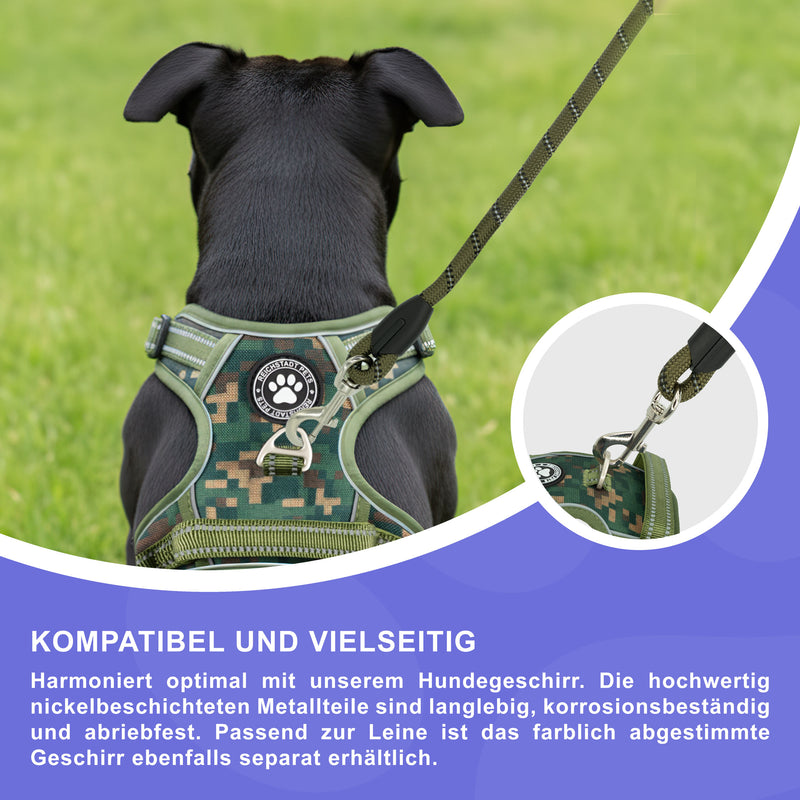 RS Pets Hundeleine Nylon 25RSP084 - Green