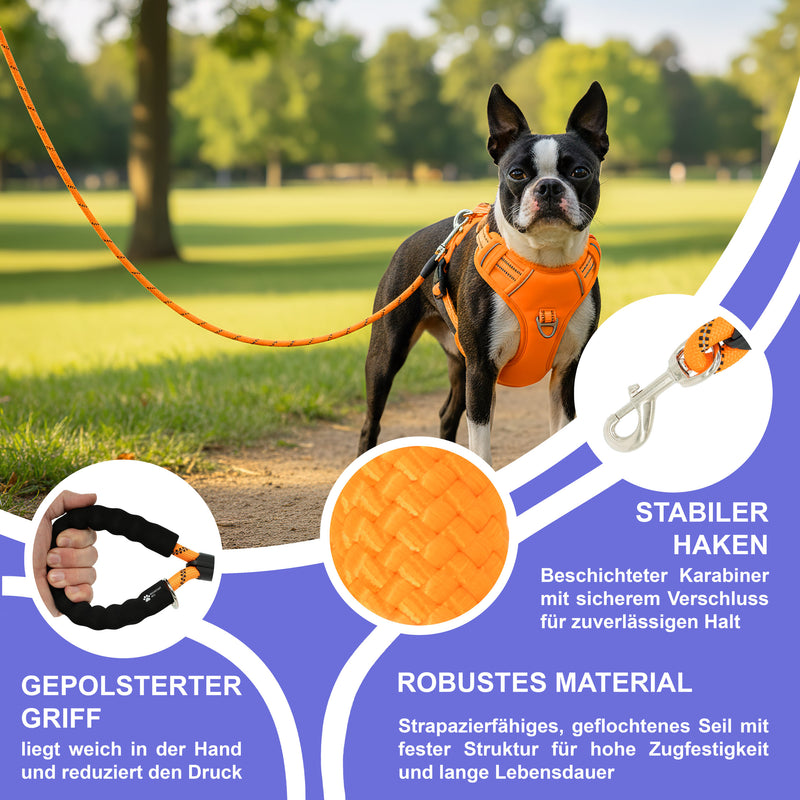 RS Pets Hundegeschirr & Leinen Set 25RSP083-4 - Orange