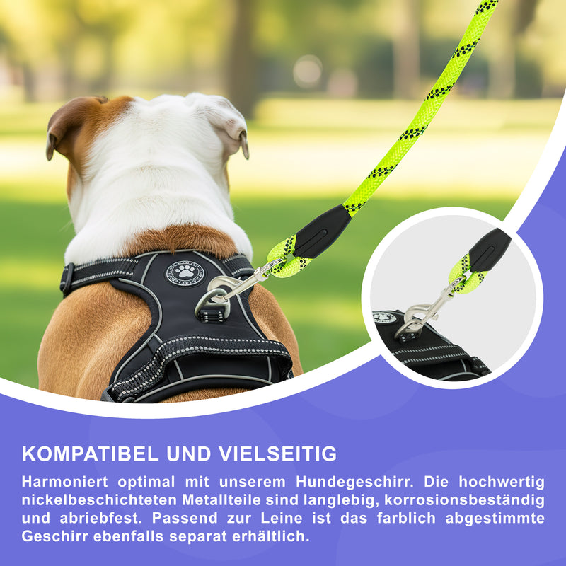RS Pets Hundeleine Nylon 25RSP084 - Lime Green