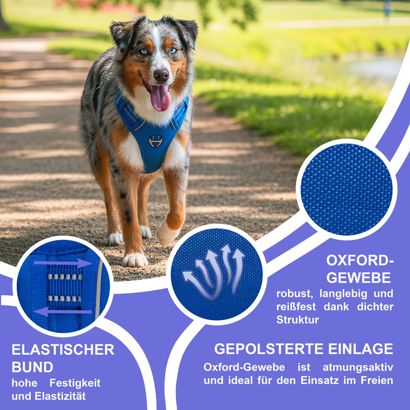 RS Pets Hundegeschirr 25RSP083 - Blue