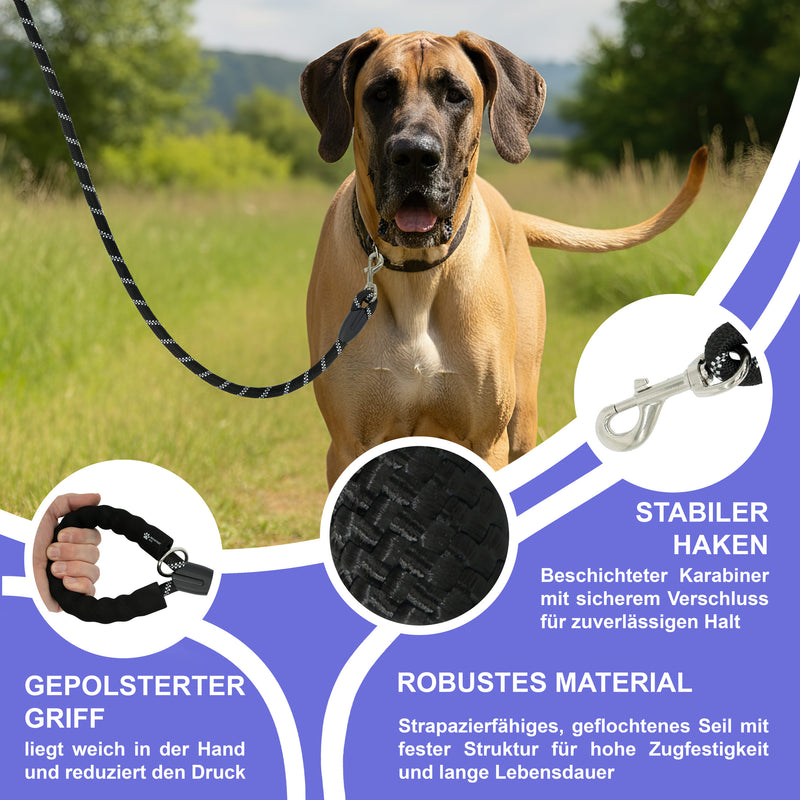 RS Pets Hundegeschirr & Leinen Set 25RSP083-4 - Black