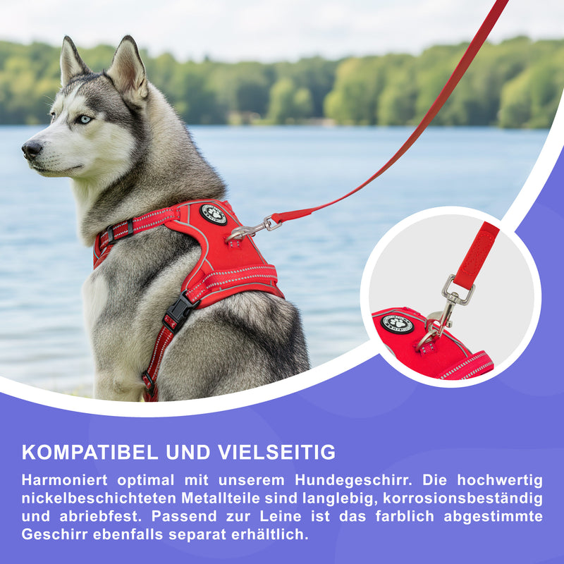 RS Pets Hundeleine PVC 25RSP086 - Red