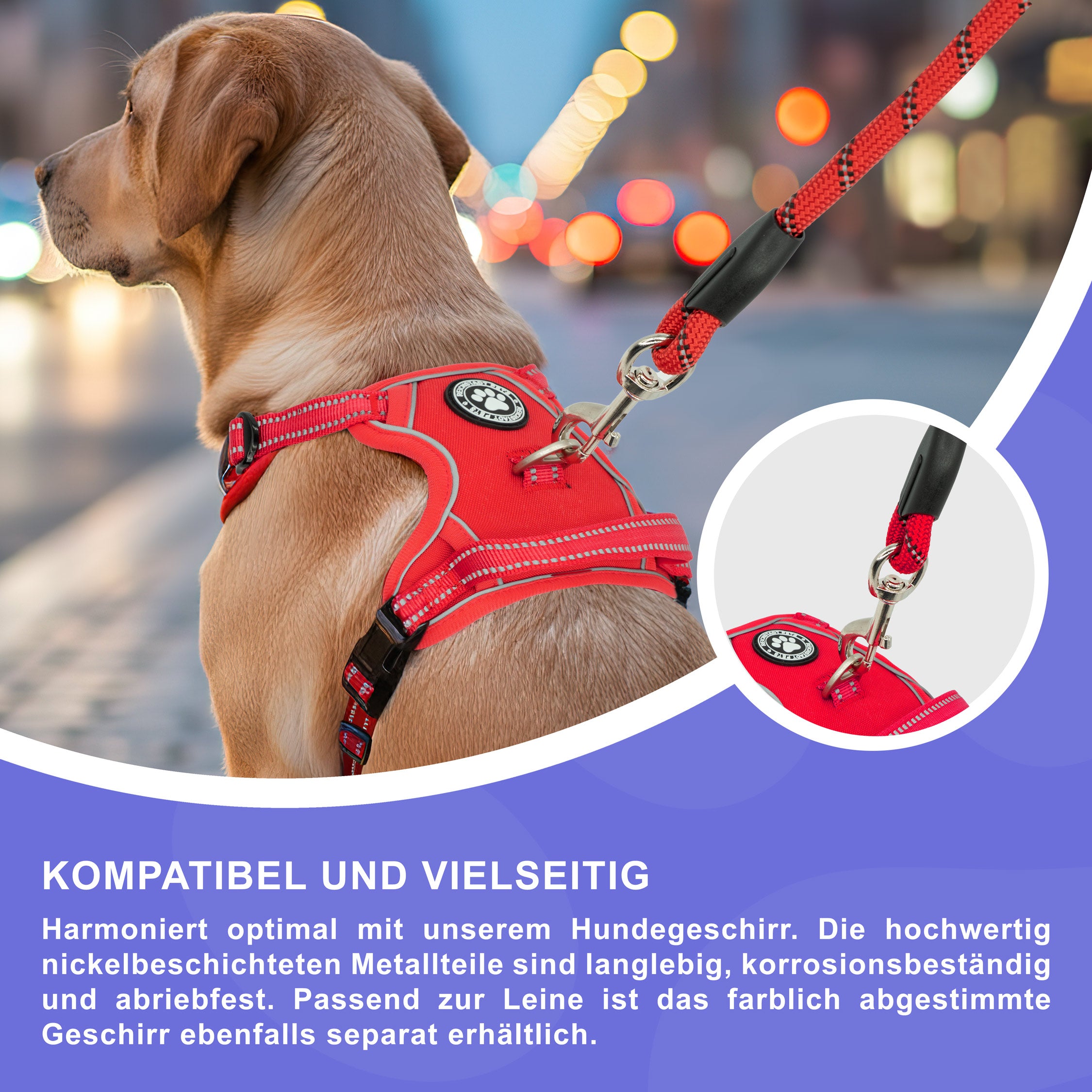 RS Pets Hundeleine Nylon 25RSP084 - Red