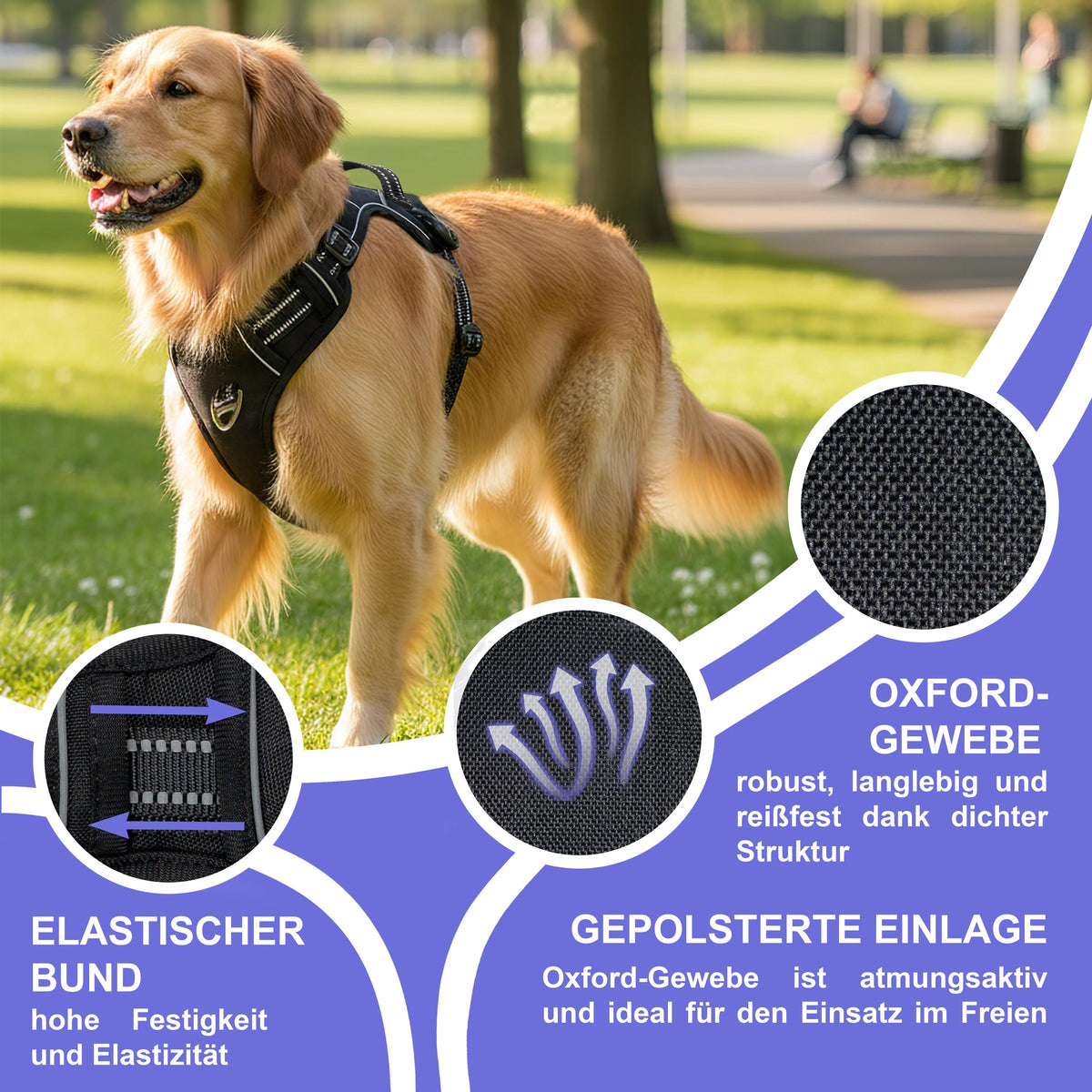 RS Pets Hundegeschirr in Black – Ansicht 5