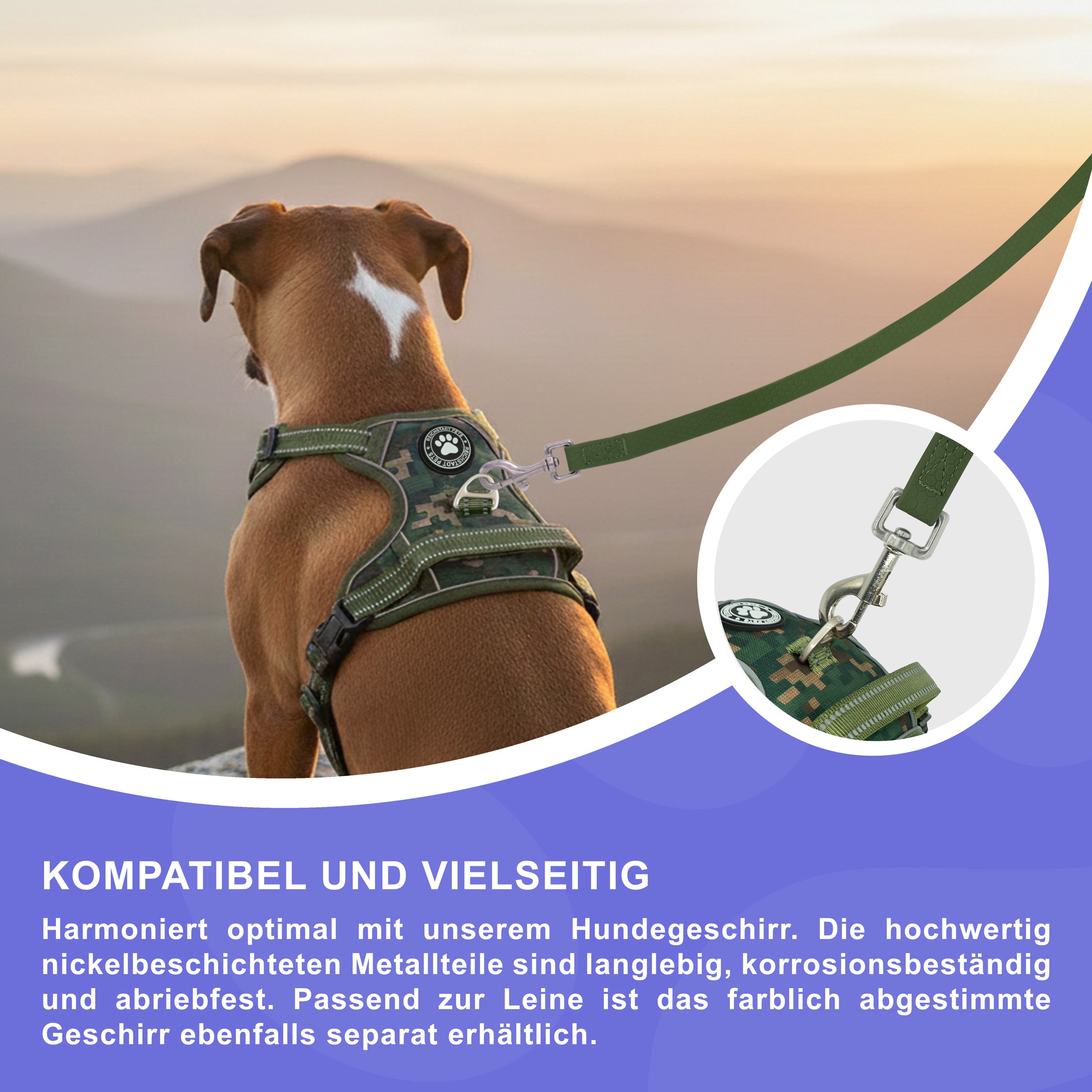 RS Pets Hundeleine Texturierte PVC 25RSP085 - Green