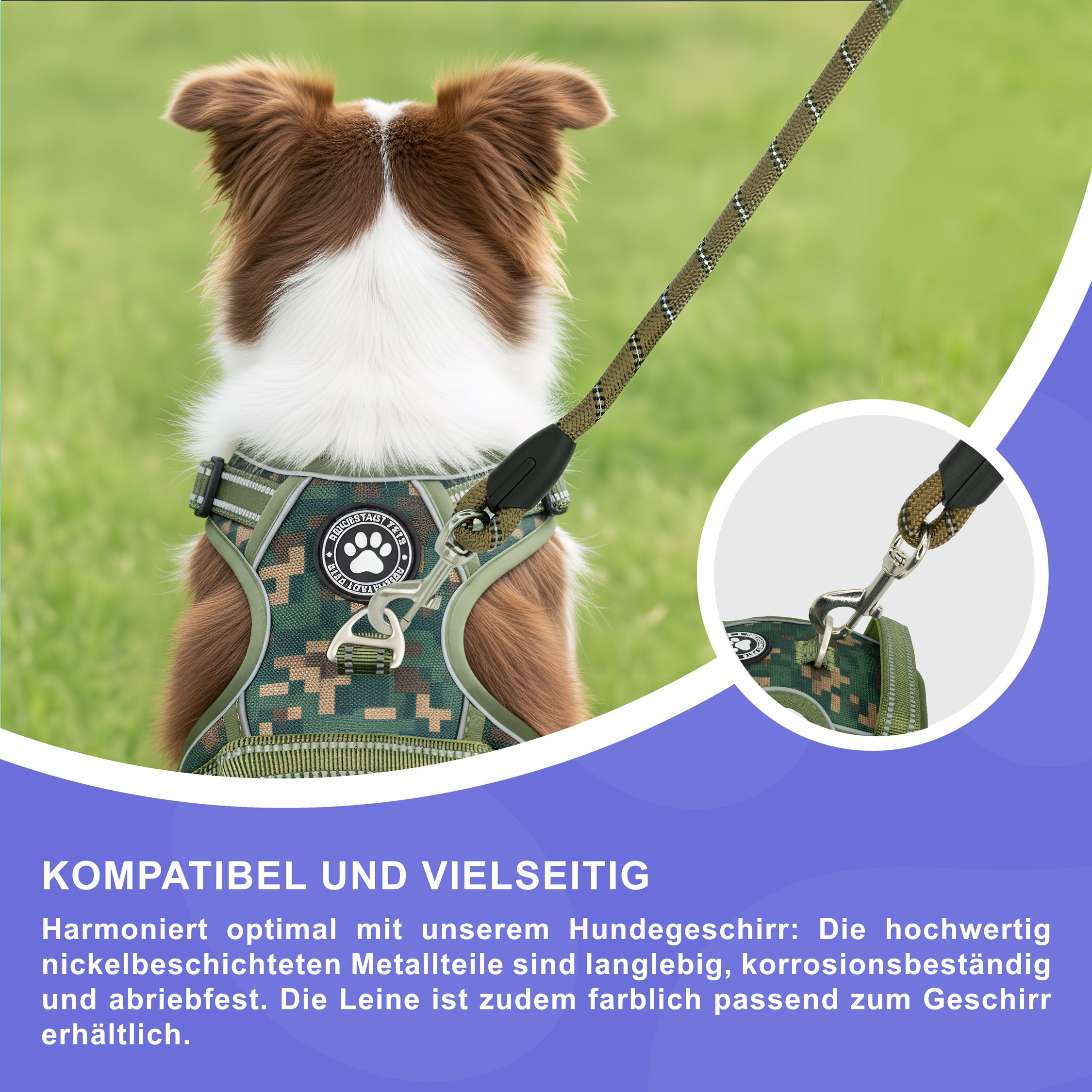 RS Pets Hundeleine Nylon 25RSP084 - Brown
