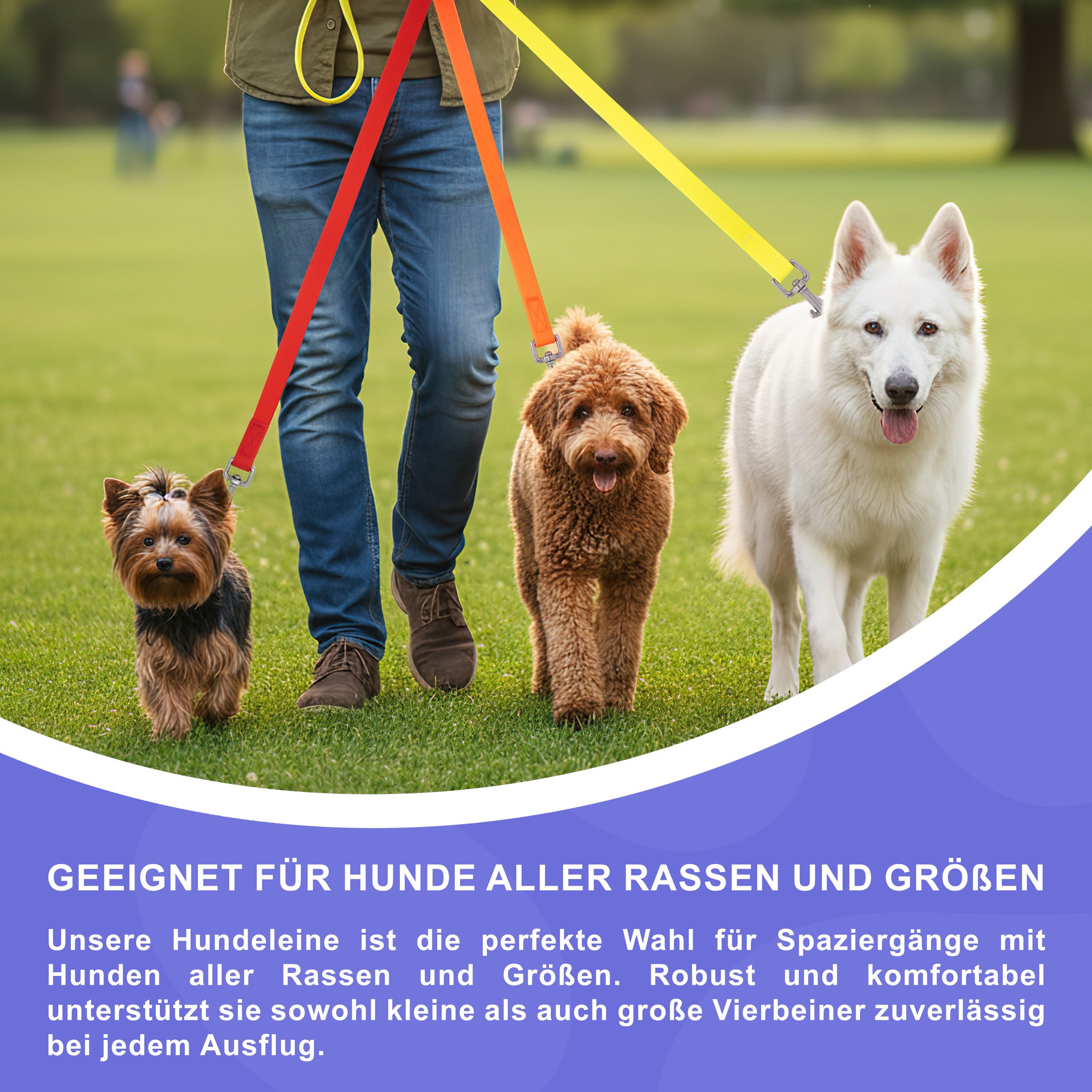 RS Pets Hundeleine Texturierte PVC 25RSP085 - Orange