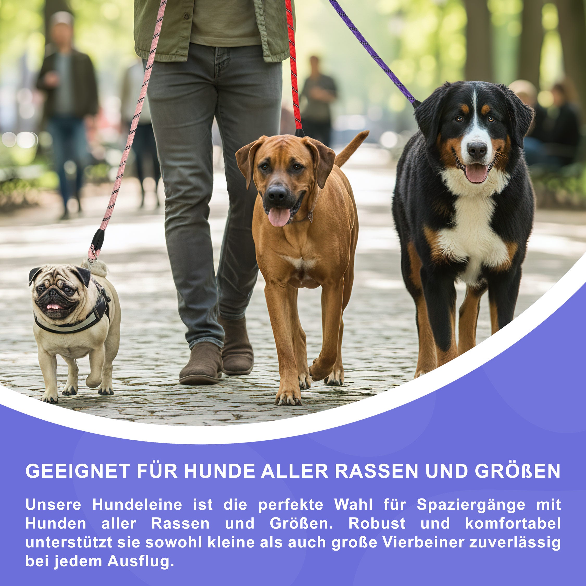 RS Pets Hundeleine Nylon 25RSP084 - Red