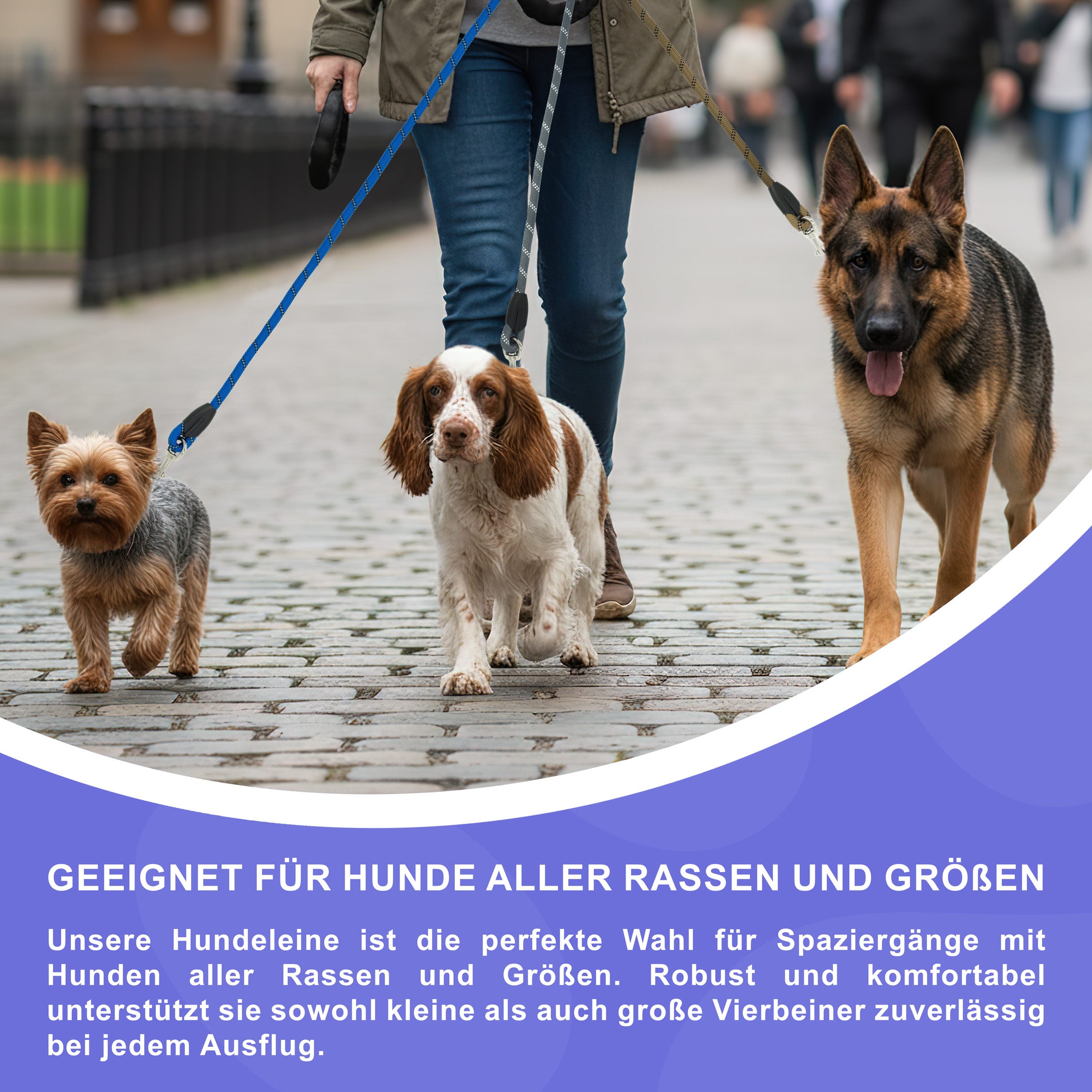 RS Pets Hundeleine Nylon 25RSP084 - Blue
