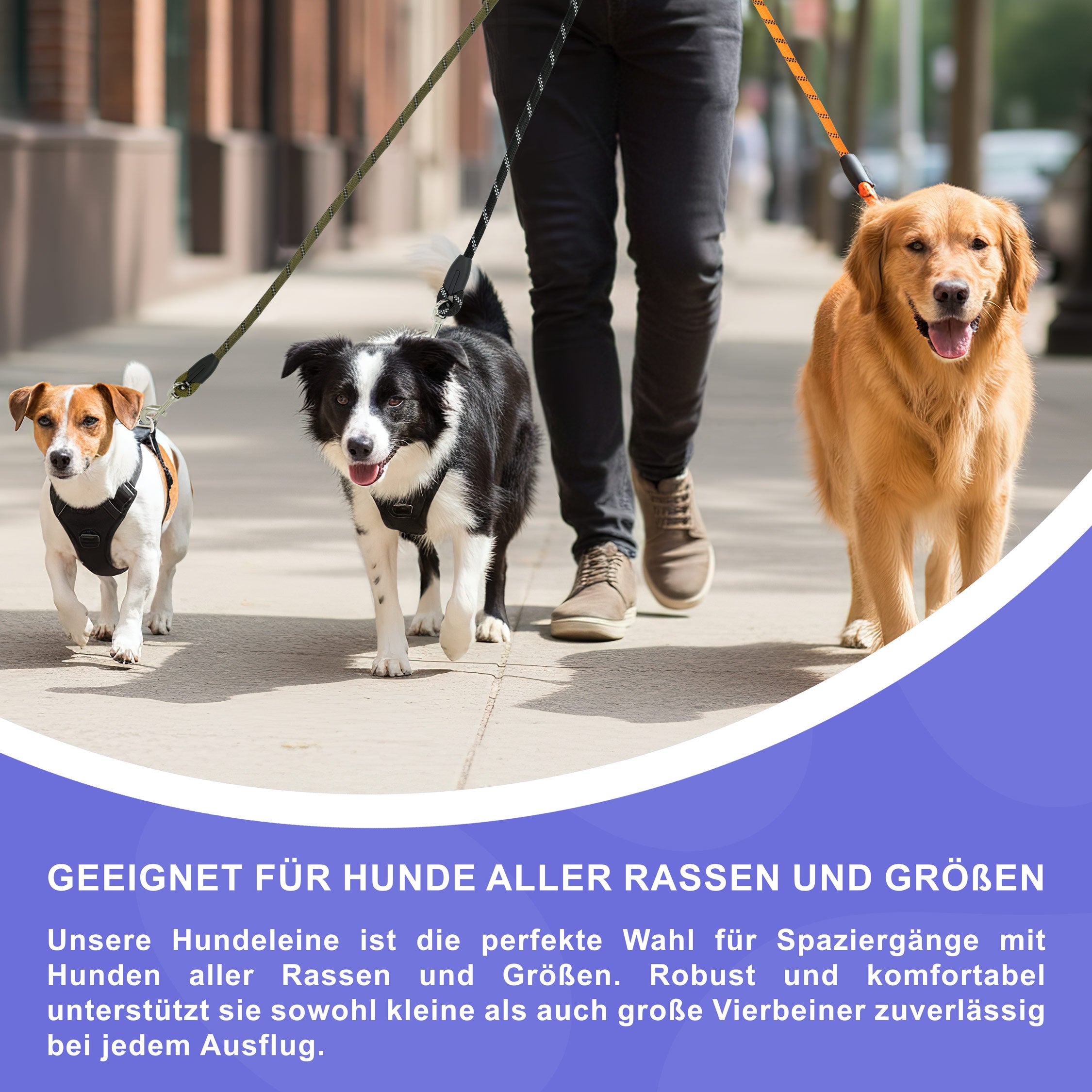 RS Pets Hundeleine Nylon 25RSP084 - Orange