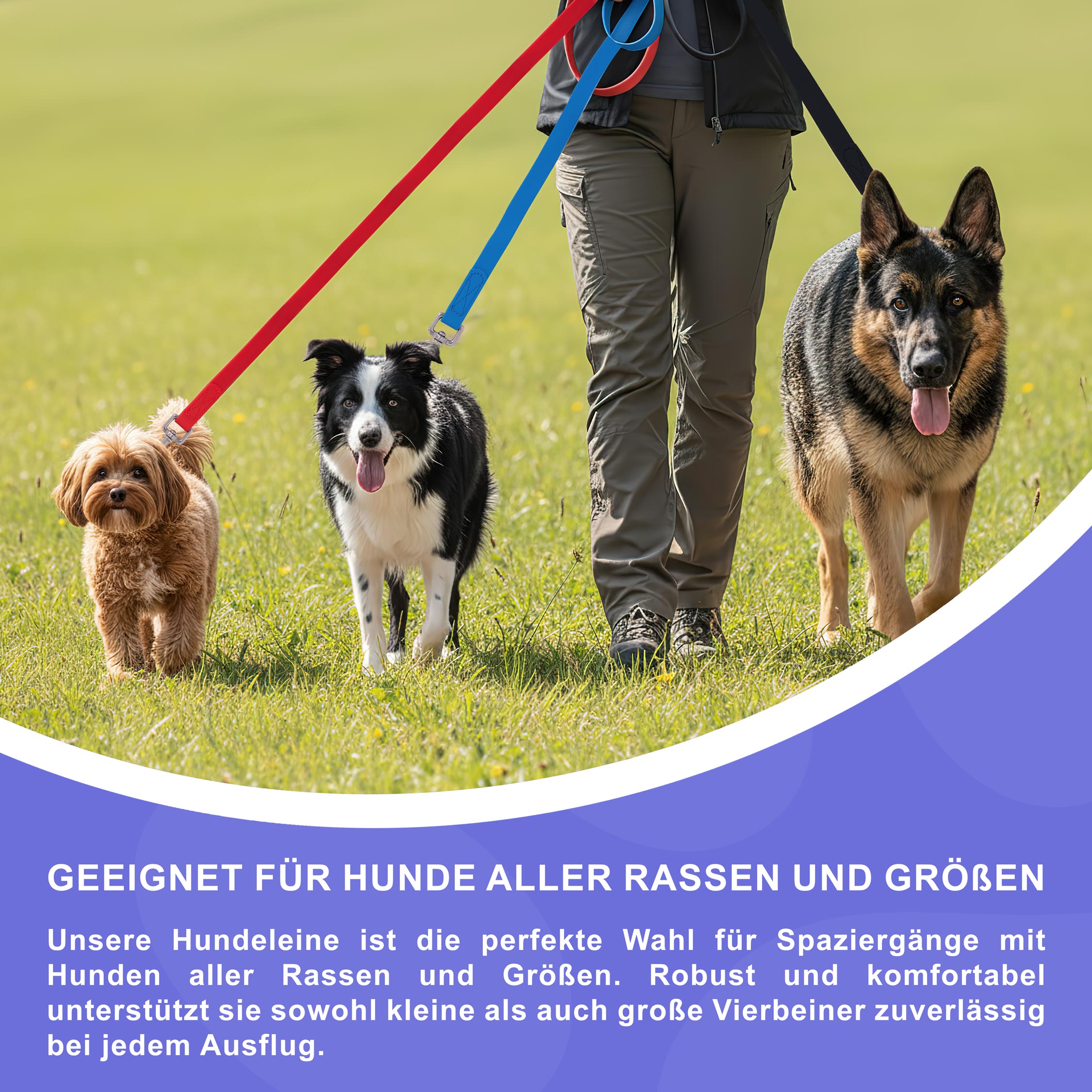RS Pets Hundeleine PVC 25RSP086 - Red