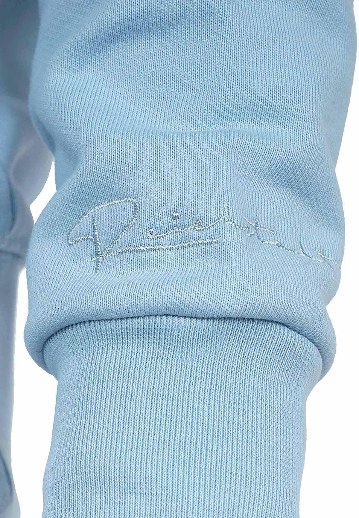 Herren Regular Fit Hoodie Marken-Stick in Baby Blue – Reichstadt – Ansicht 6