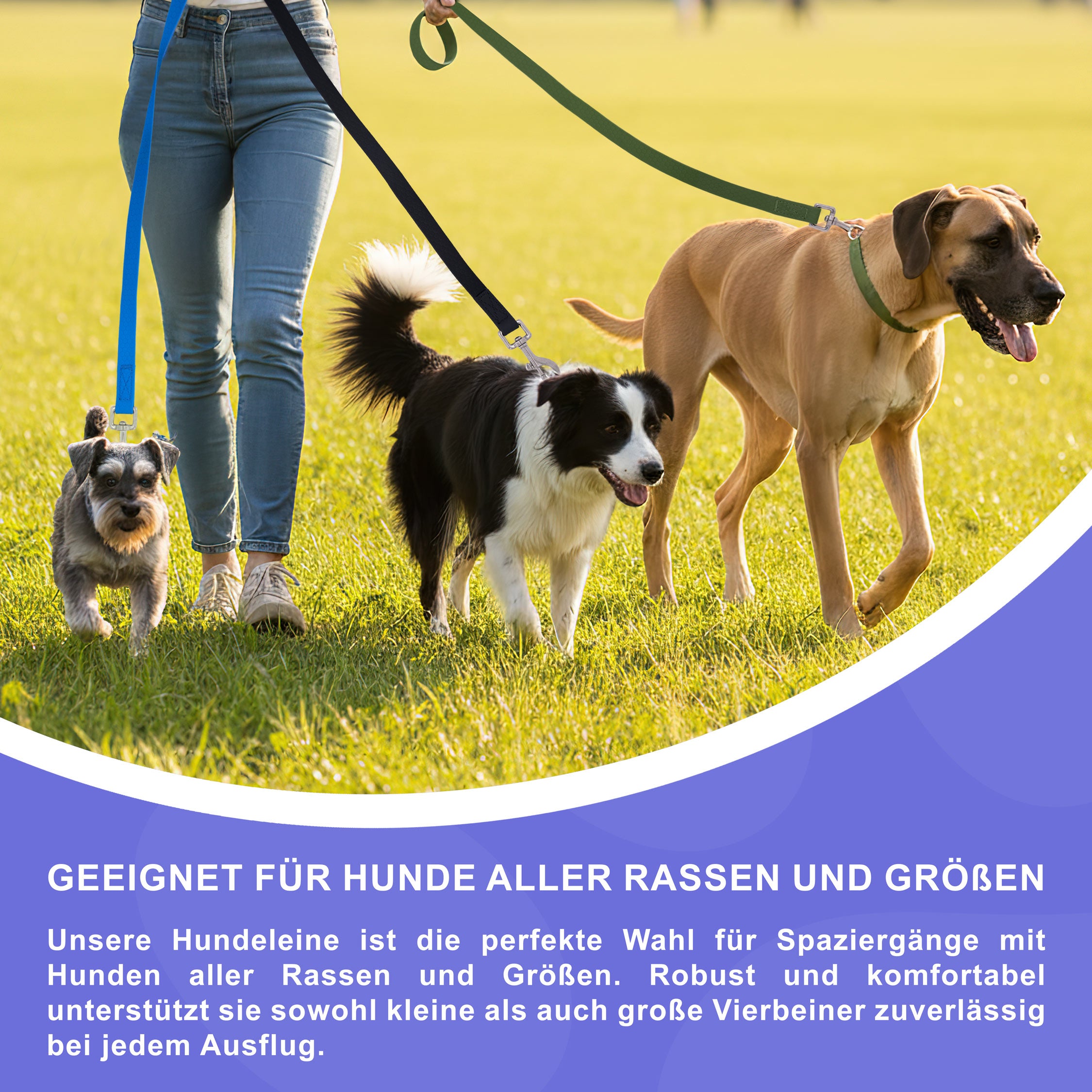 RS Pets Hundeleine Texturierte PVC 25RSP085 - Green