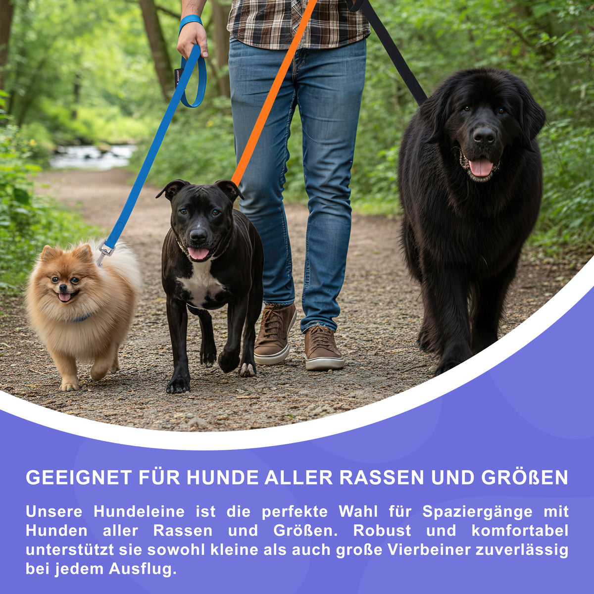 RS Pets Hundeleine PVC 25RSP086 - Blue