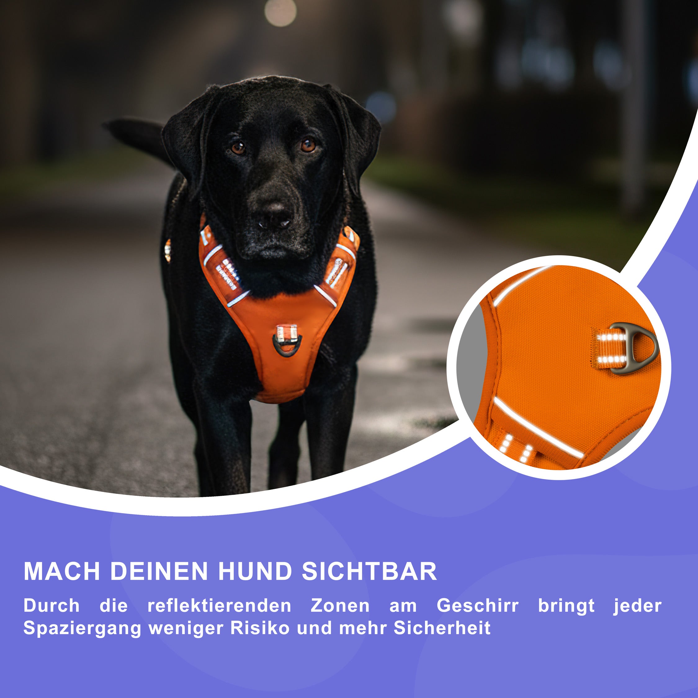 RS Pets Hundegeschirr & Leinen Set 25RSP083-4 - Orange