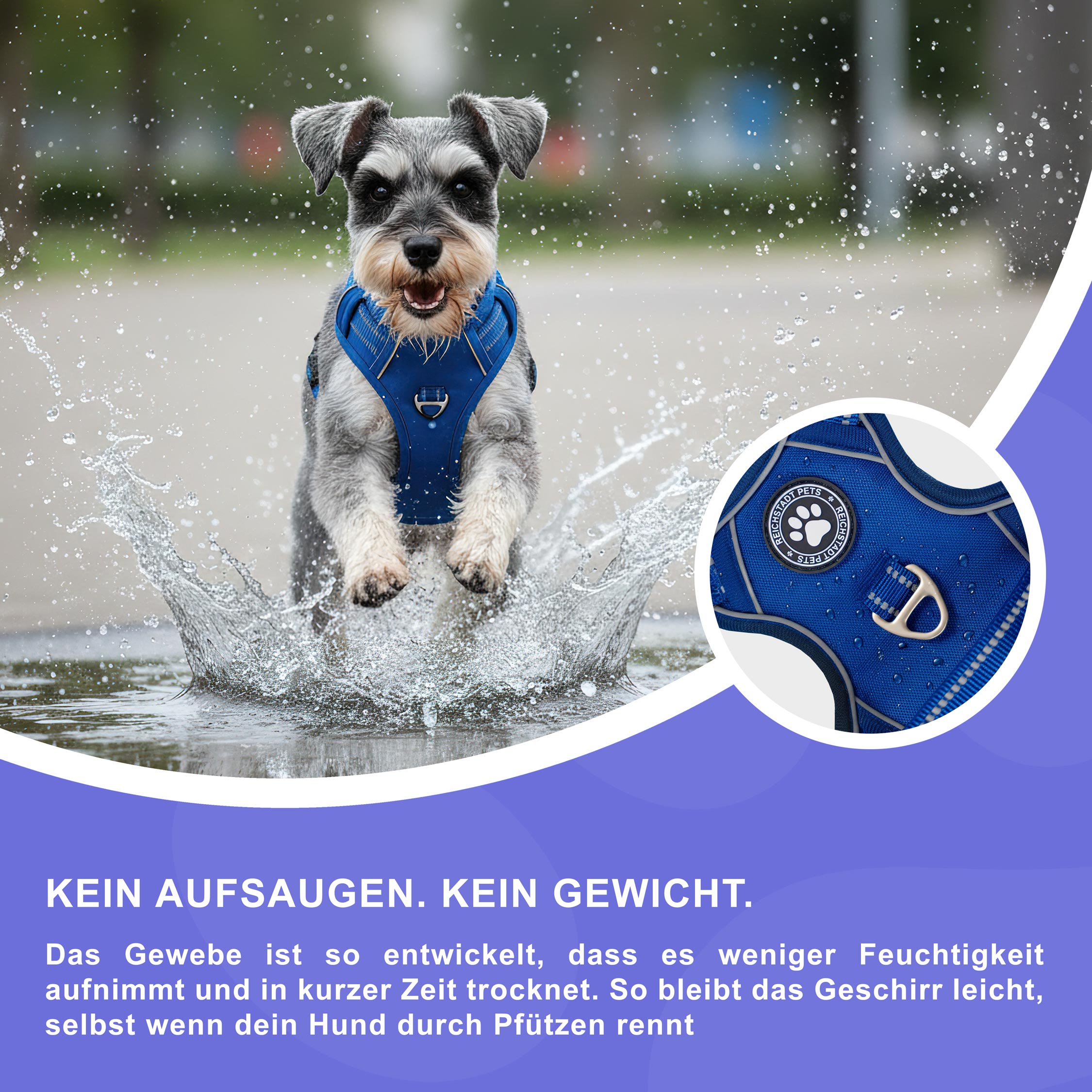 RS Pets Hundegeschirr 25RSP083 - Blue