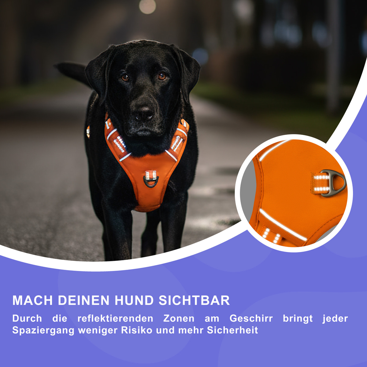 RS Pets Hundegeschirr in Orange – Ansicht 7
