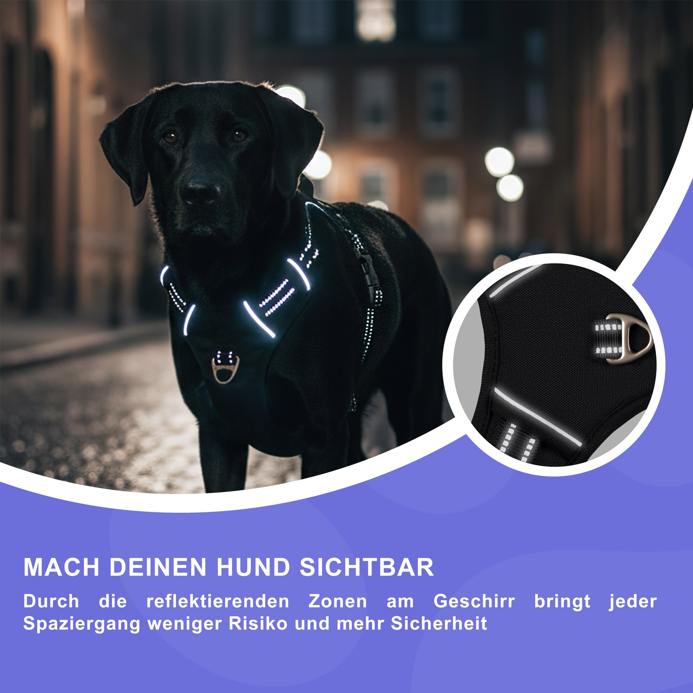 RS Pets Hundegeschirr & Leinen Set 25RSP083-4 - Black