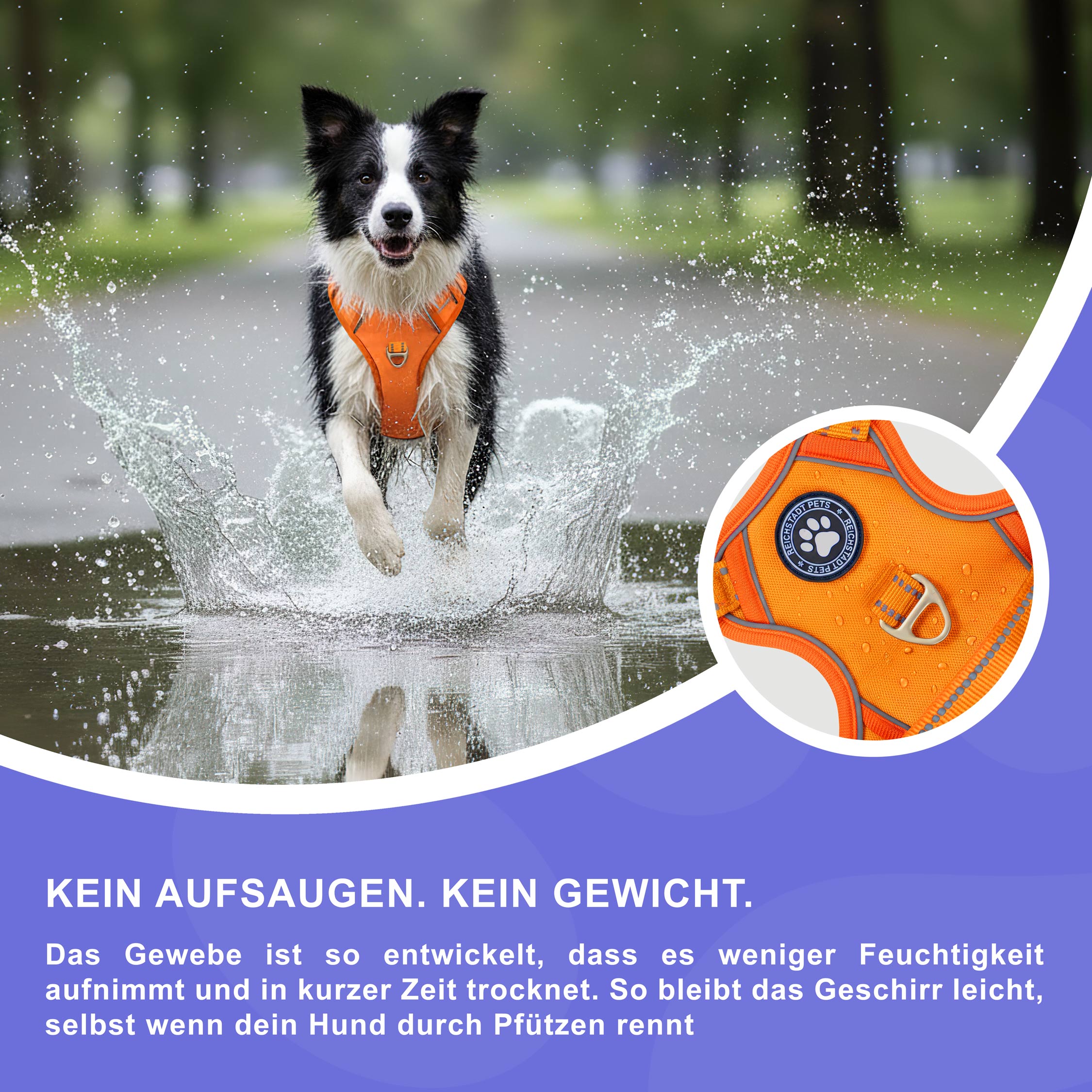 RS Pets Hundegeschirr & Leinen Set 25RSP083-4 - Orange