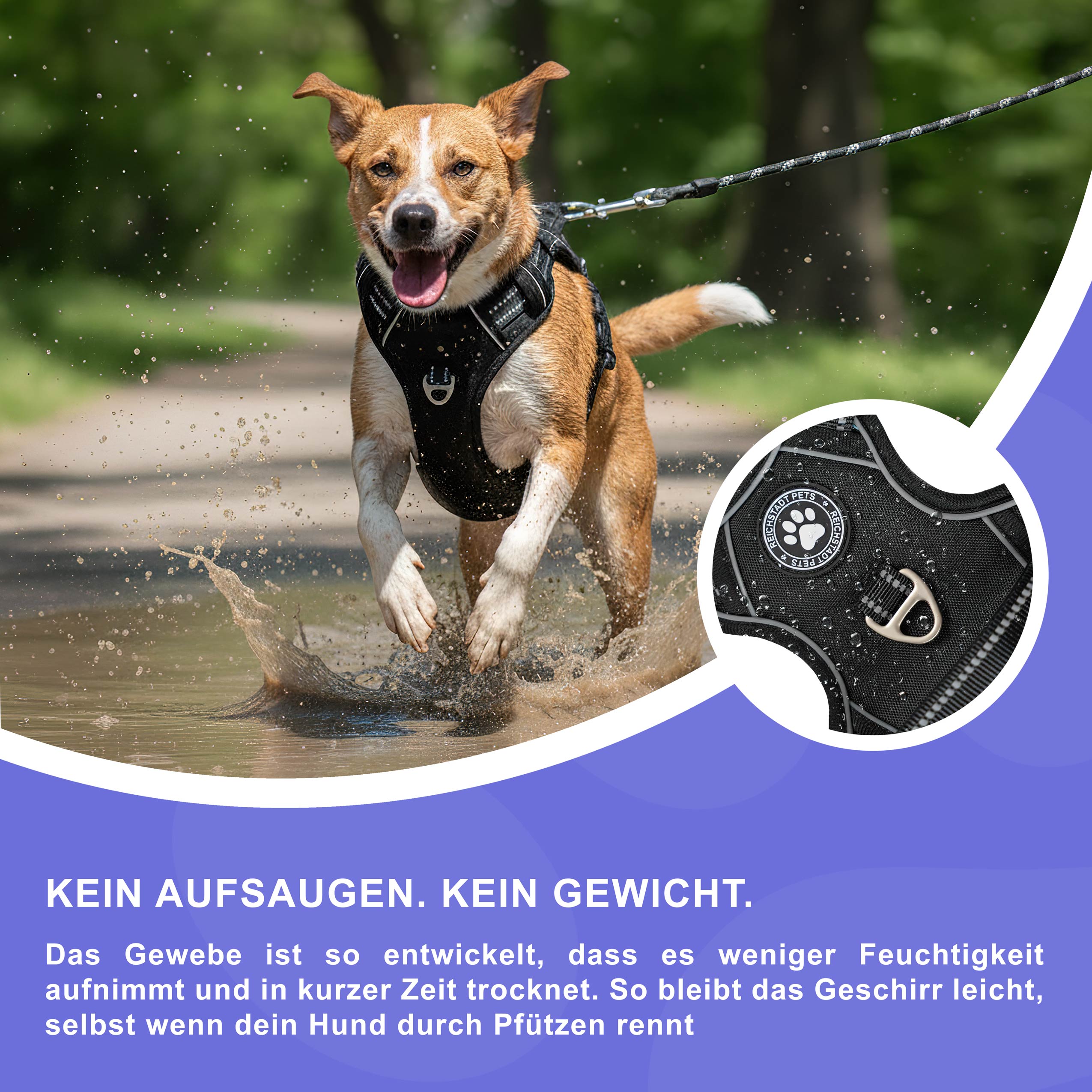 RS Pets Hundegeschirr & Leinen Set 25RSP083-4 - Black