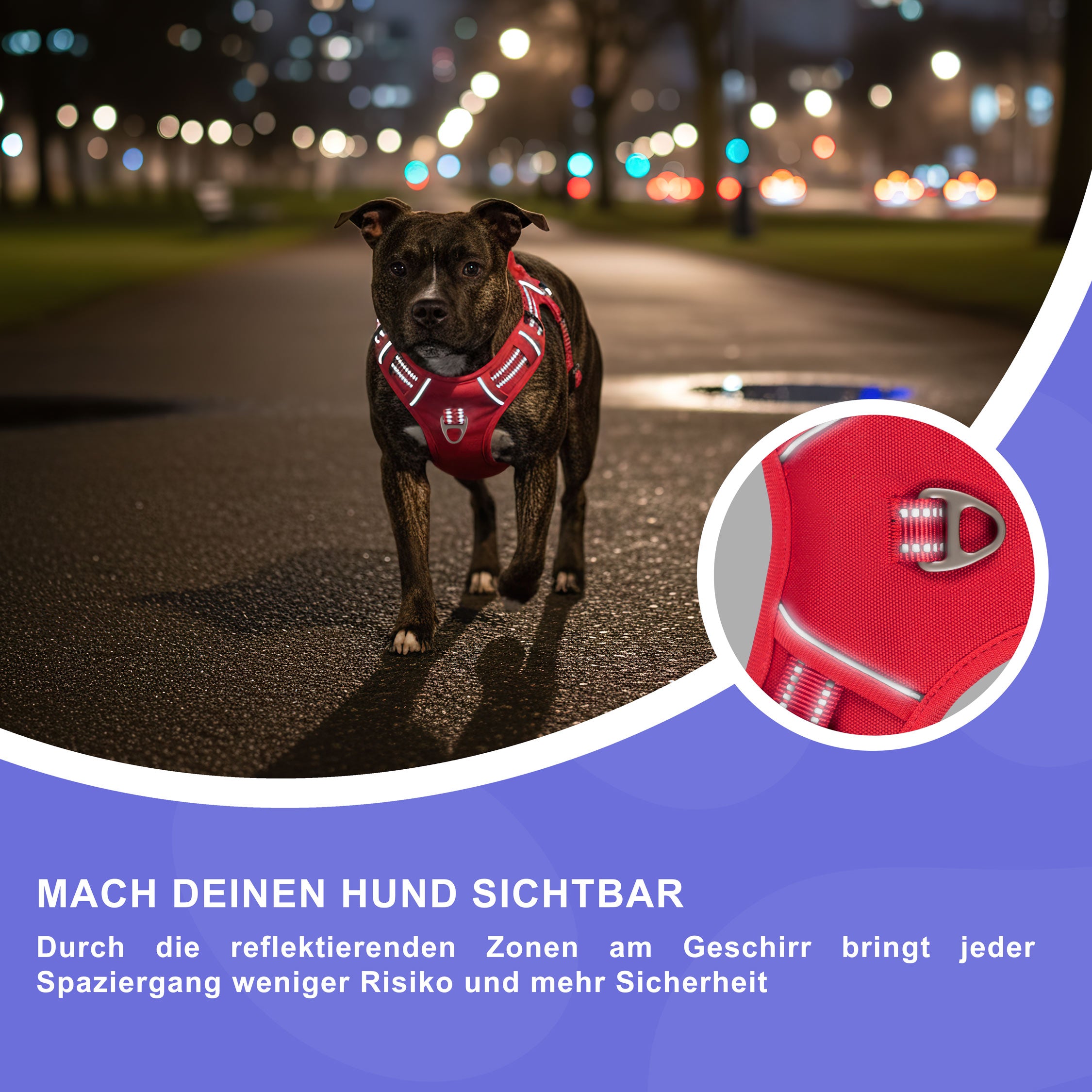 RS Pets Hundegeschirr & Leinen Set 25RSP083-4 - Red