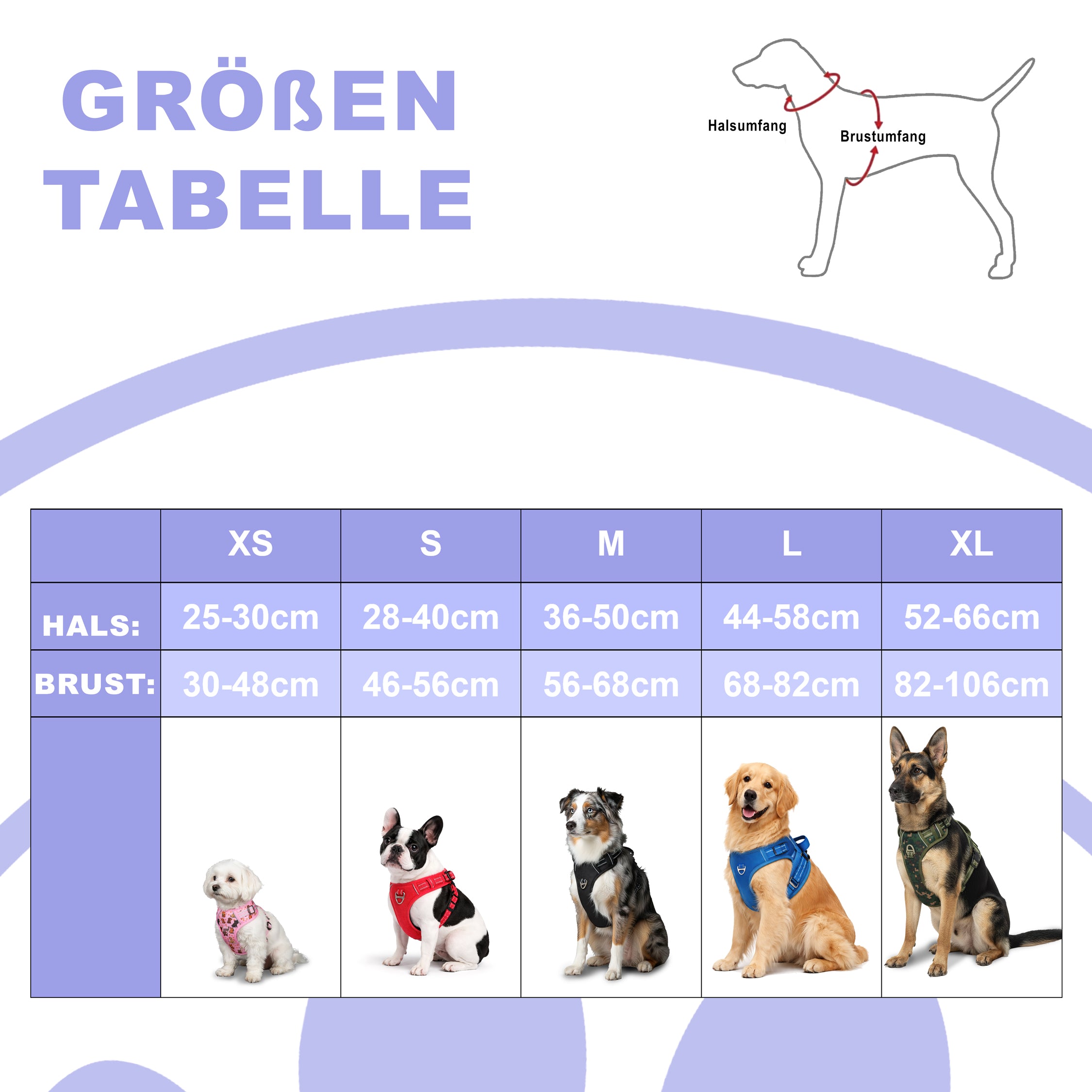 RS Pets Hundegeschirr & Leinen Set 25RSP083-4 - Red