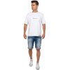 Cipo & Baxx Herren Shorts CK266