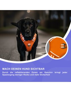 Reichstadt  Hundegeschirr  25RSP083