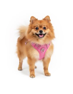 Reichstadt  Hundegeschirr  25RSP083