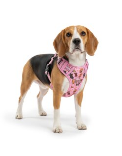 Reichstadt  Hundegeschirr  25RSP083