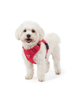 Reichstadt Pets Hundegeschirr 25RSP083