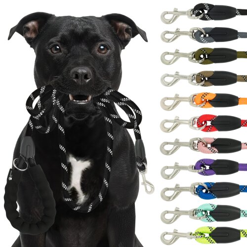 Reichstadt  Hundeleine Nylon 25RSP084