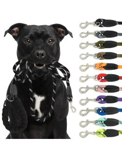 Reichstadt  Hundeleine Nylon 25RSP084