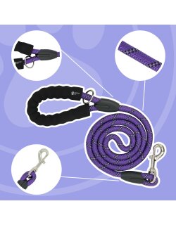 Reichstadt  Hundeleine Nylon 25RSP084