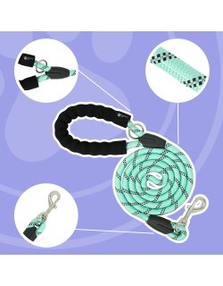 Reichstadt  Hundeleine Nylon 25RSP084